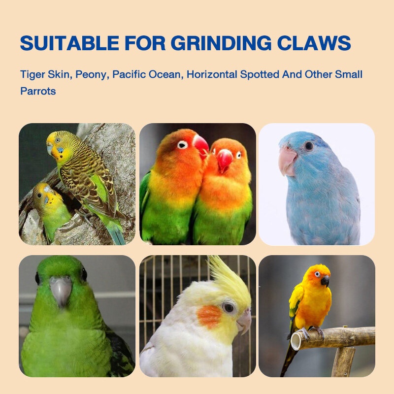 Thanh Mài Móng Vuốt Chim Vẹt HZMPS0004