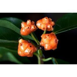 Cây mặt quỷ khô 1kg