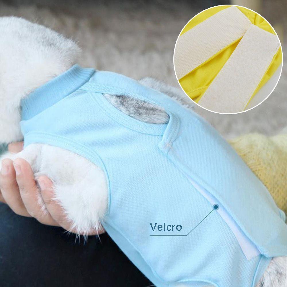 Bộ Quần Áo Phẫu Thuật Cho Mèo LAYOR1