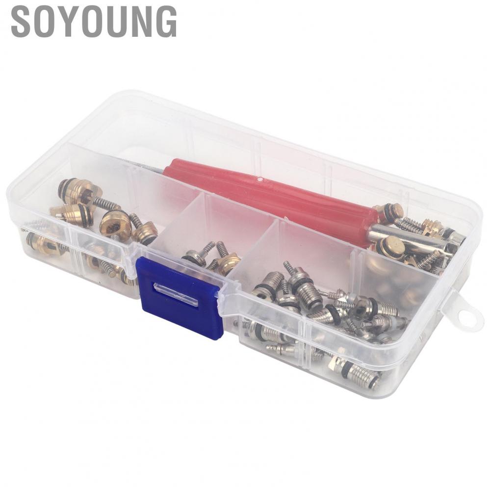 Soyoung AC Valve Core Repair Set  Multipurpose Refrigeration Tire Stem Lightweight Aluminium Copper 41Pcs Portable with Remover for Car Home