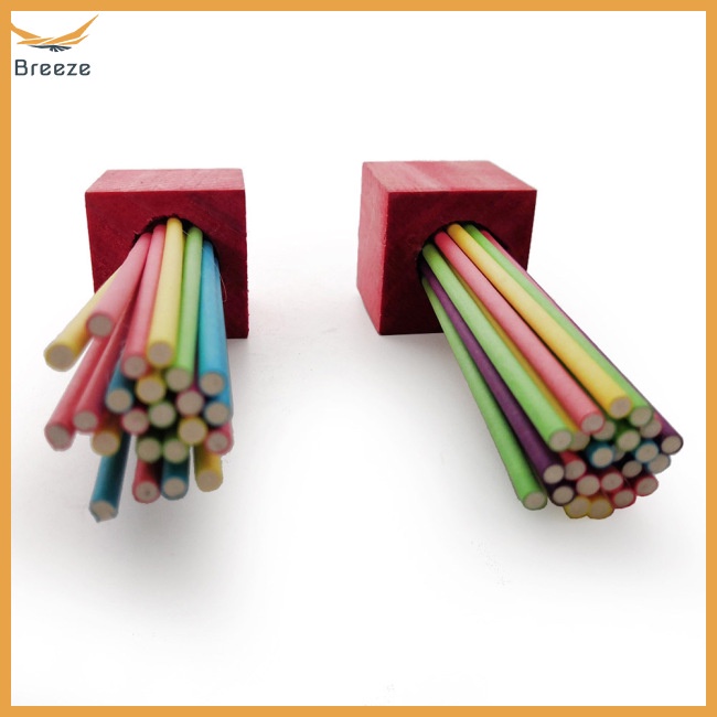 Đồ Chơi Que Gỗ Nhiều Màu Dùng Huấn Luyện Cho Vẹt