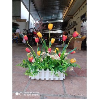 Chậu hoa hàng rào -chậu tulip giả