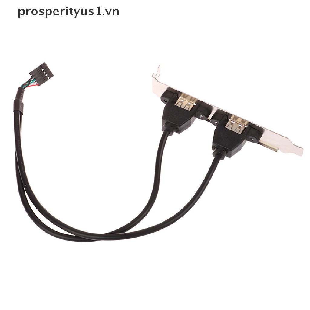Bo Mạch Chủ prosperityus1 2 Cổng USB 2.0