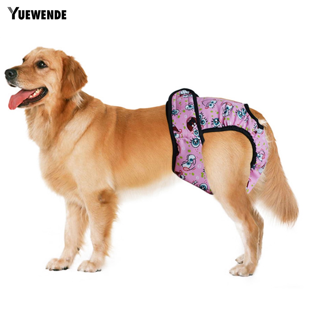 Tã Quần Sinh Lý In Họa Tiết Hoạt Hình Dễ Thương Giặt Được Tiện Dụng Cho Nữ