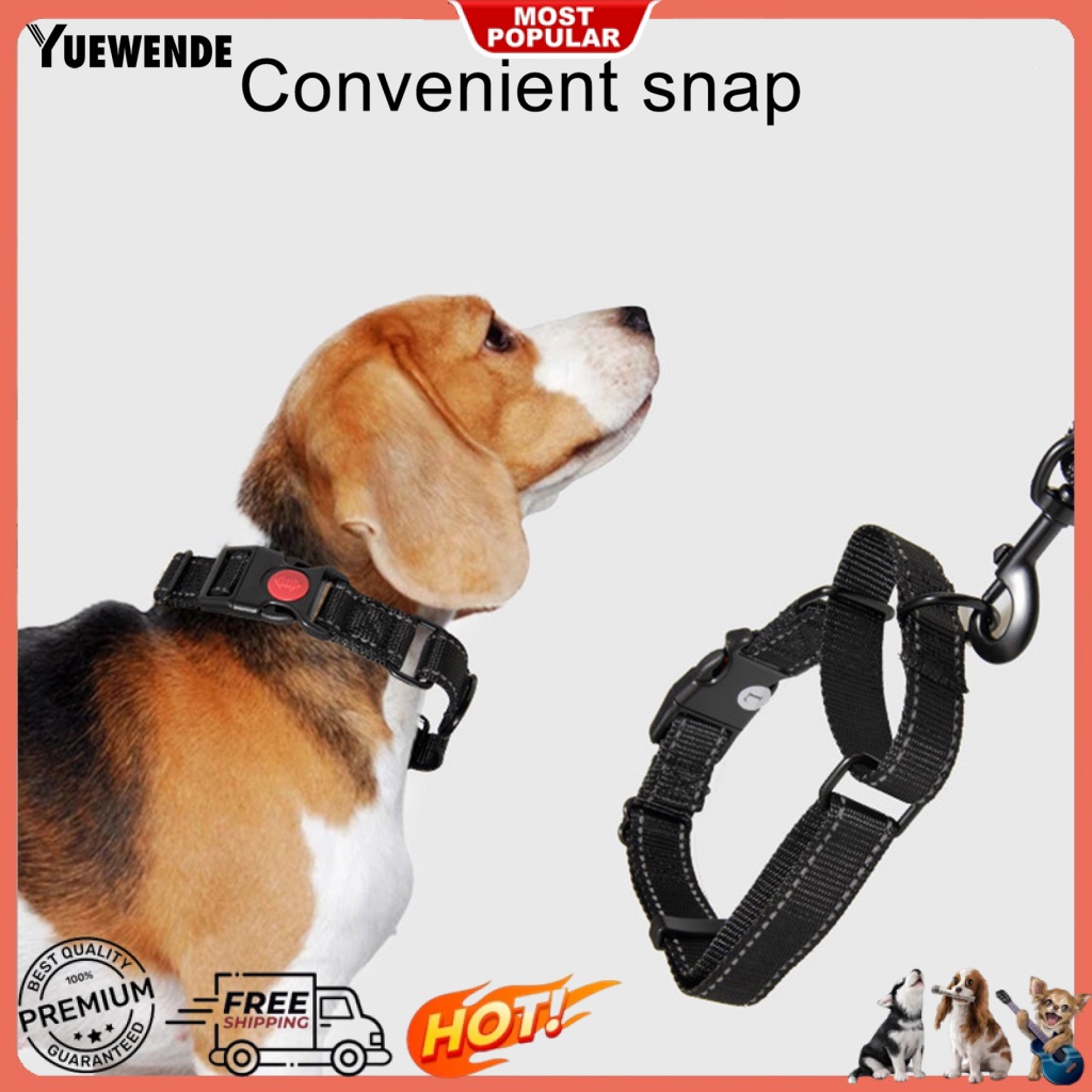 Set 2 Dây Dắt Thú Cưng Đi Dạo Có Thể Giặt Được