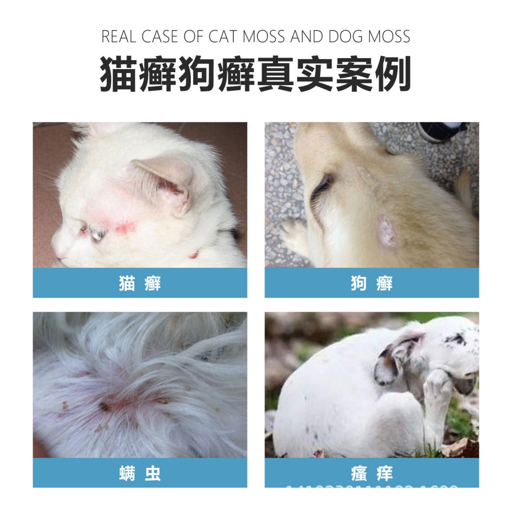 Chai Xịt Trị Trĩnh Vùng Da Thú Cưng Dung Tích 100ml