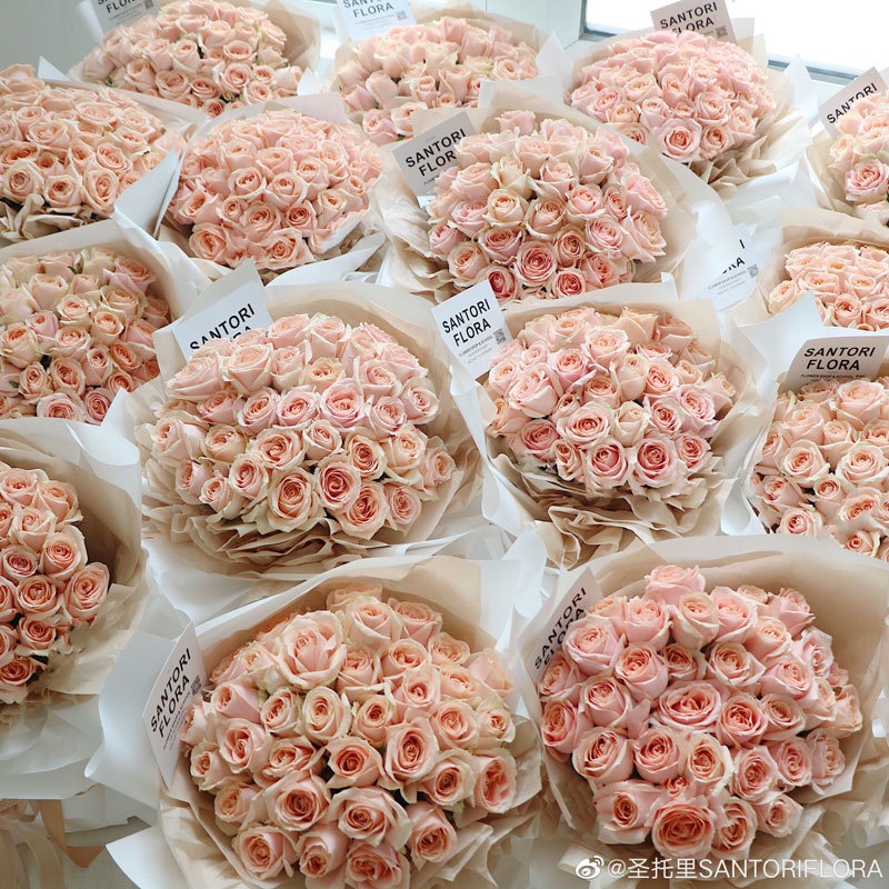 Set 1 / 5 Giấy Gói Quà Ouya Dày Hai Màu Chống Nước 19 Màu Sắc