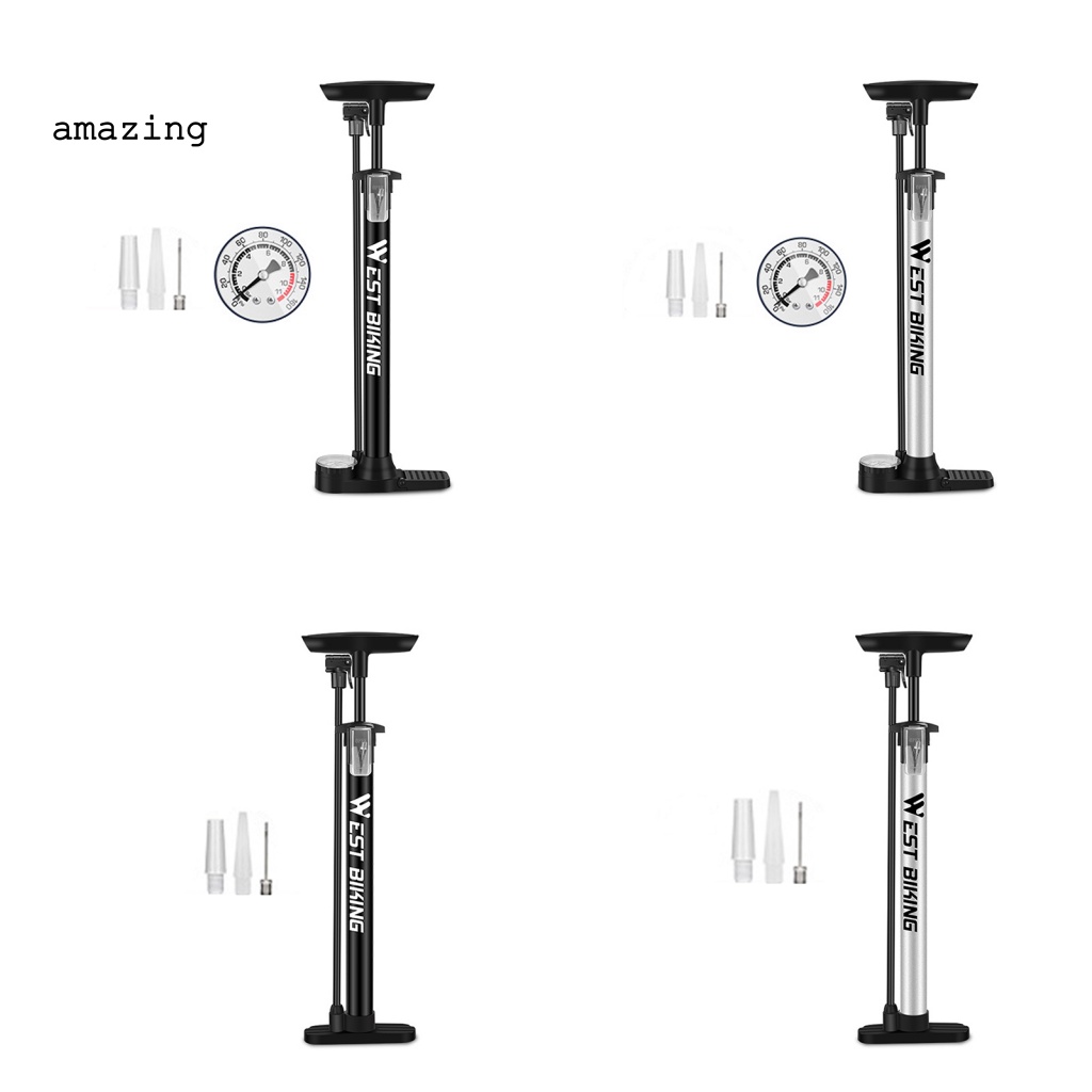 1 Bộ Bơm Xe Đạp / Xe Máy Bằng Kim Loại Thông Dụng