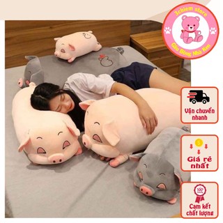 Gấu bông heo híp, heo lim dim gối ôm heo híp