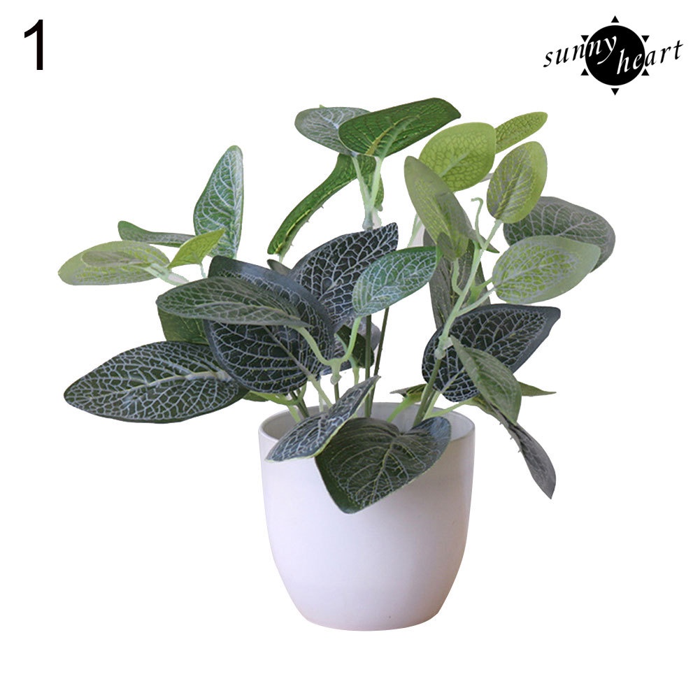 Chậu Cây Bonsai Bằng Nhựa Không Phai Đa Năng Trang Trí Nhà Cửa / Tiệc Cưới