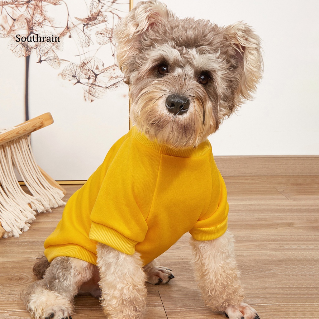 Áo Khoác Polyester Bắt Mắt Tinh Tế Giữ Ấm Cho Mèo Sử Dụng Hàng Ngày