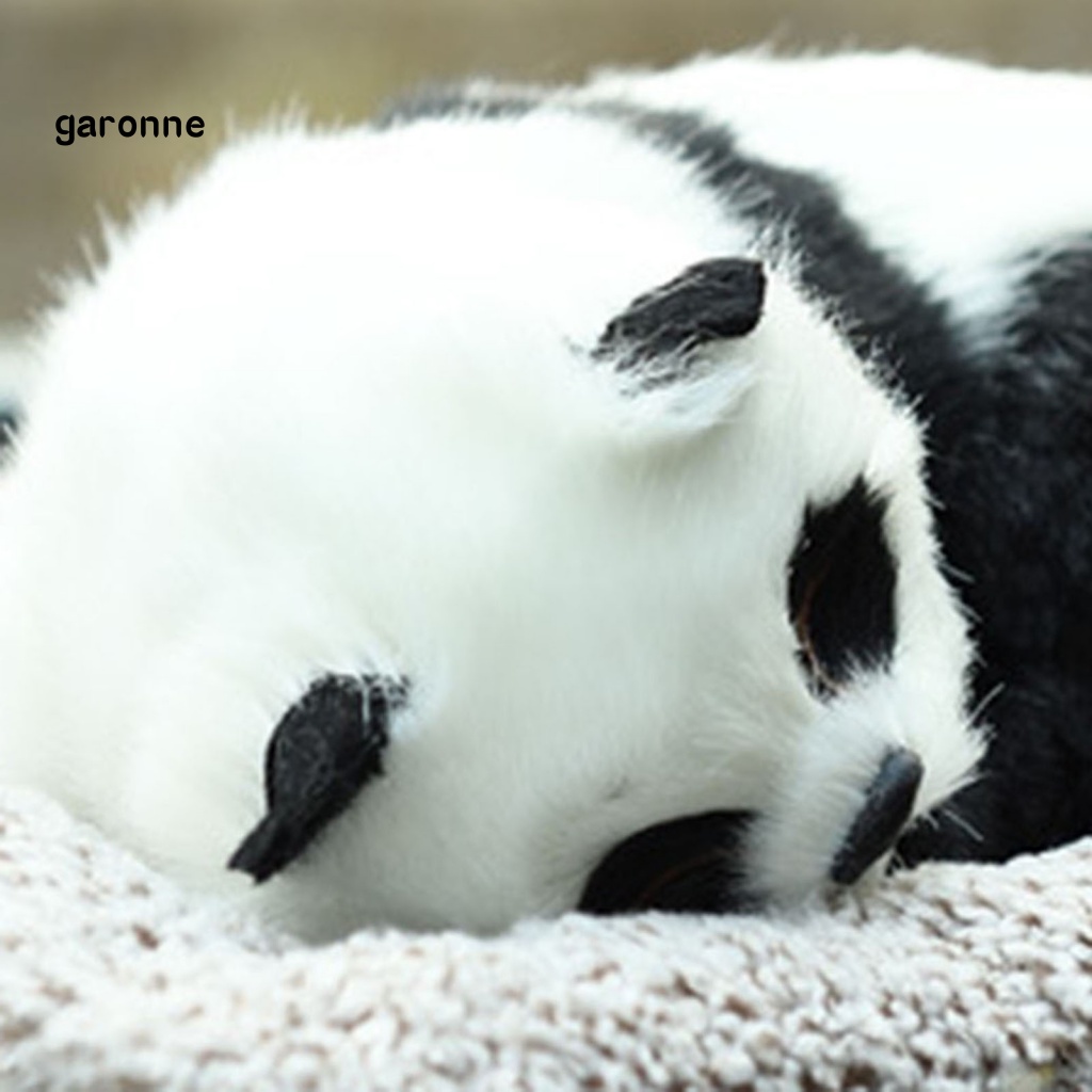 Chú Chó Nhồi Bông Carbon Hoạt Tính Sáng Tạo Trang Trí Nội Thất Xe Hơi