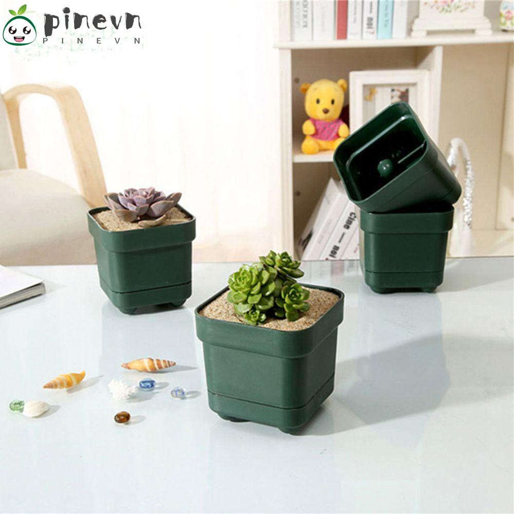 Khay Trồng Cây Thông Tiện Lợi