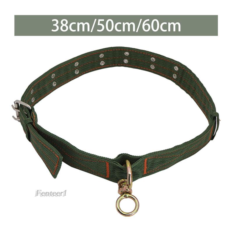 Vòng Cổ Cừu 2 Hàng Khóa Kim Loại Cho Lạc Đà Alpaca 1