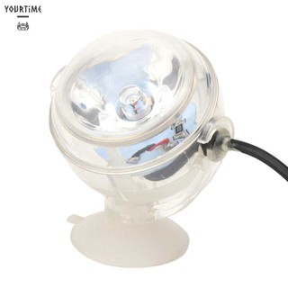 Đèn LED 1W Chiếu Sáng Hồ Cá Chống Thấm Nước