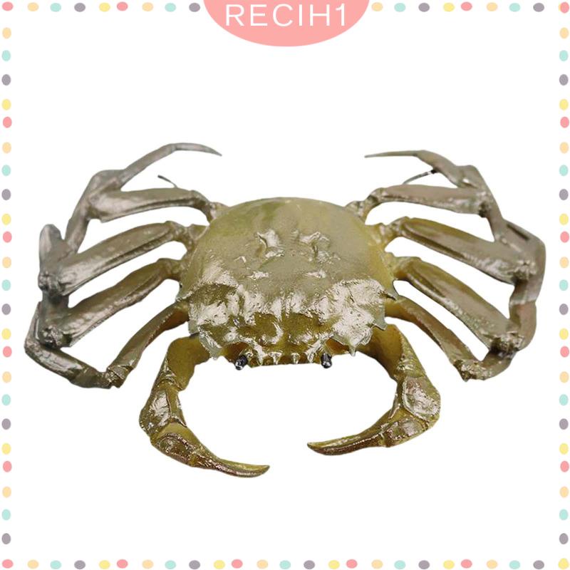 Mô Hình Sinh Vật Biển Đồ Chơi Cho Bé