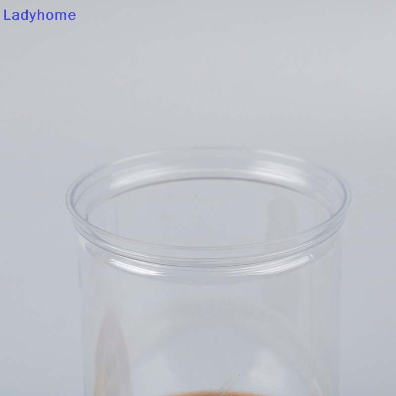 Chậu Hoa Tự Động Bằng Nhựa Trong Suốt Thấm Hút Nước Dành Cho Nữ