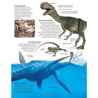 Eyewitness: Dinosaur