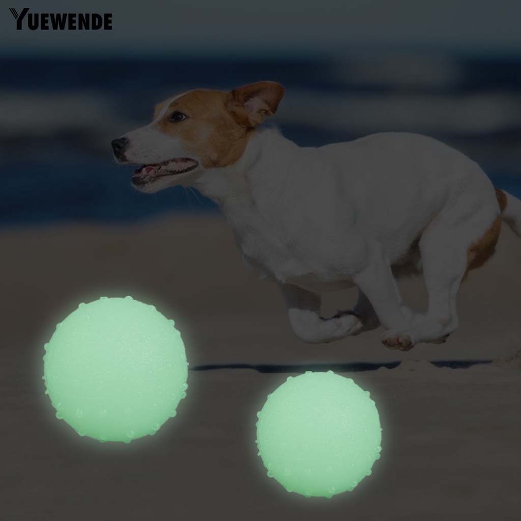Quả Bóng Đồ Chơi Phát Sáng Huấn Luyện Chống Cắn An Toàn Cho Thú Cưng