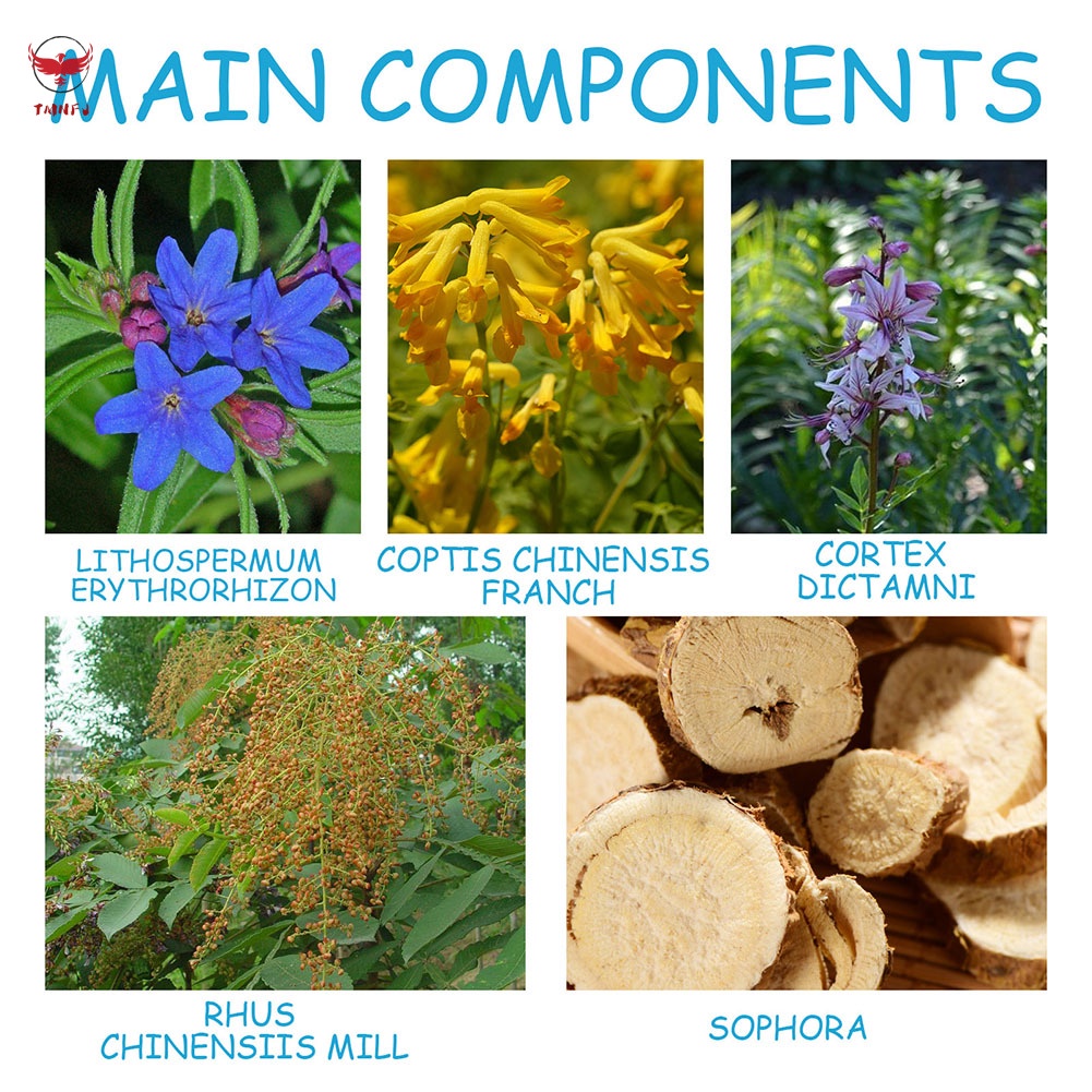 Bình Xịt Xỏ Lỗ Tai Chống Tắc Nghẽn Chuyên Dụng