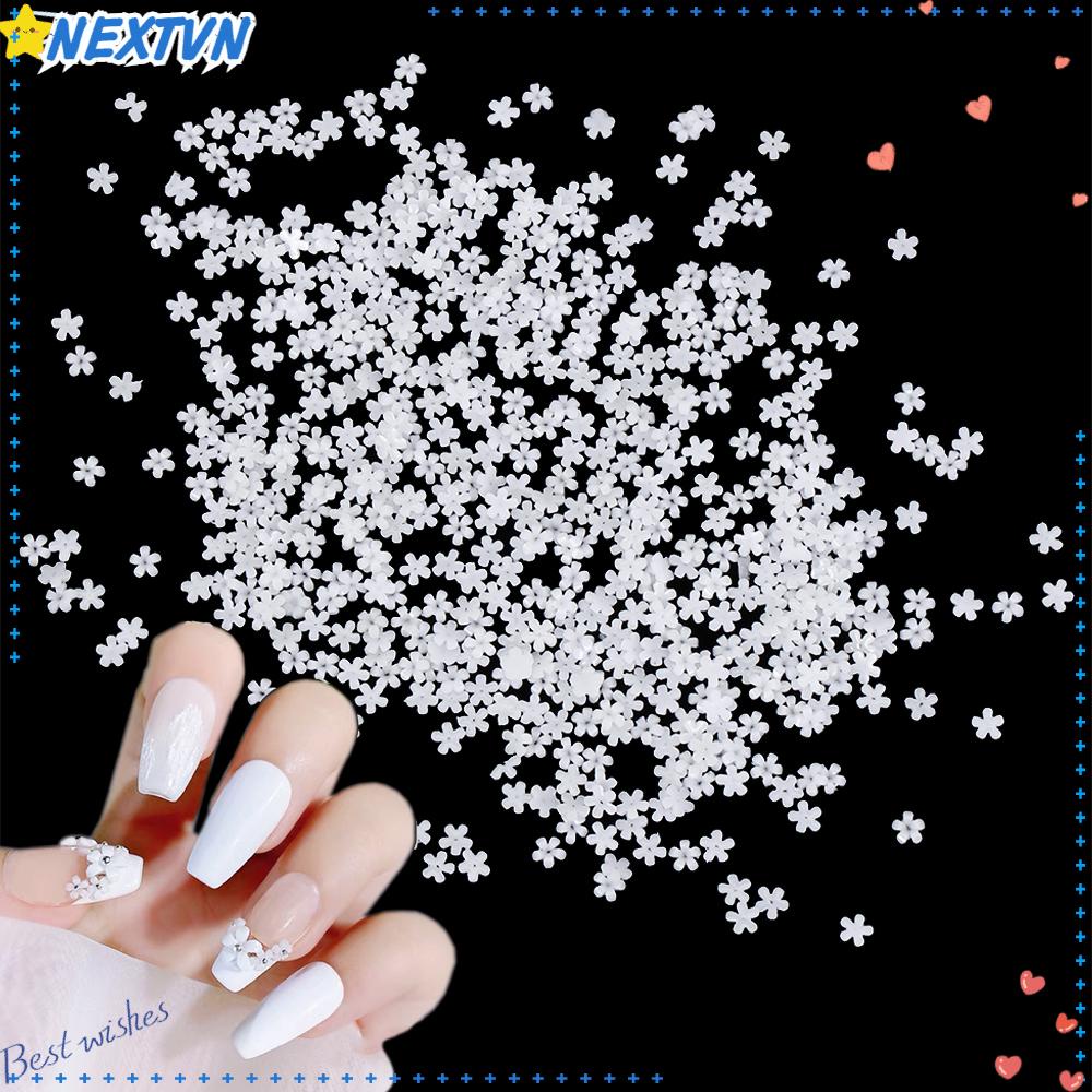 Set 100 / 500 Hộp Vật Liệu Trang Trí Móng Tay Họa Tiết Hoa Dễ Thương