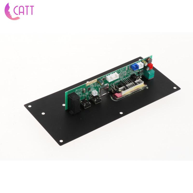 Bảng Mạch Khuếch Đại Âm Thanh TF FM Radio Cho Xe Hơi Accs 1