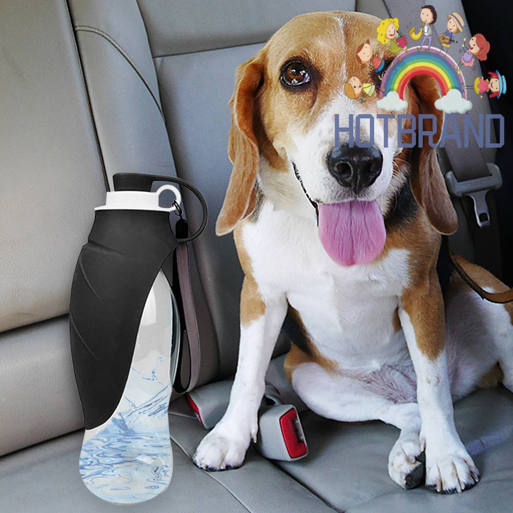 Bình UốNg NướC Đa Năng 580ml Cho Thú Cưng