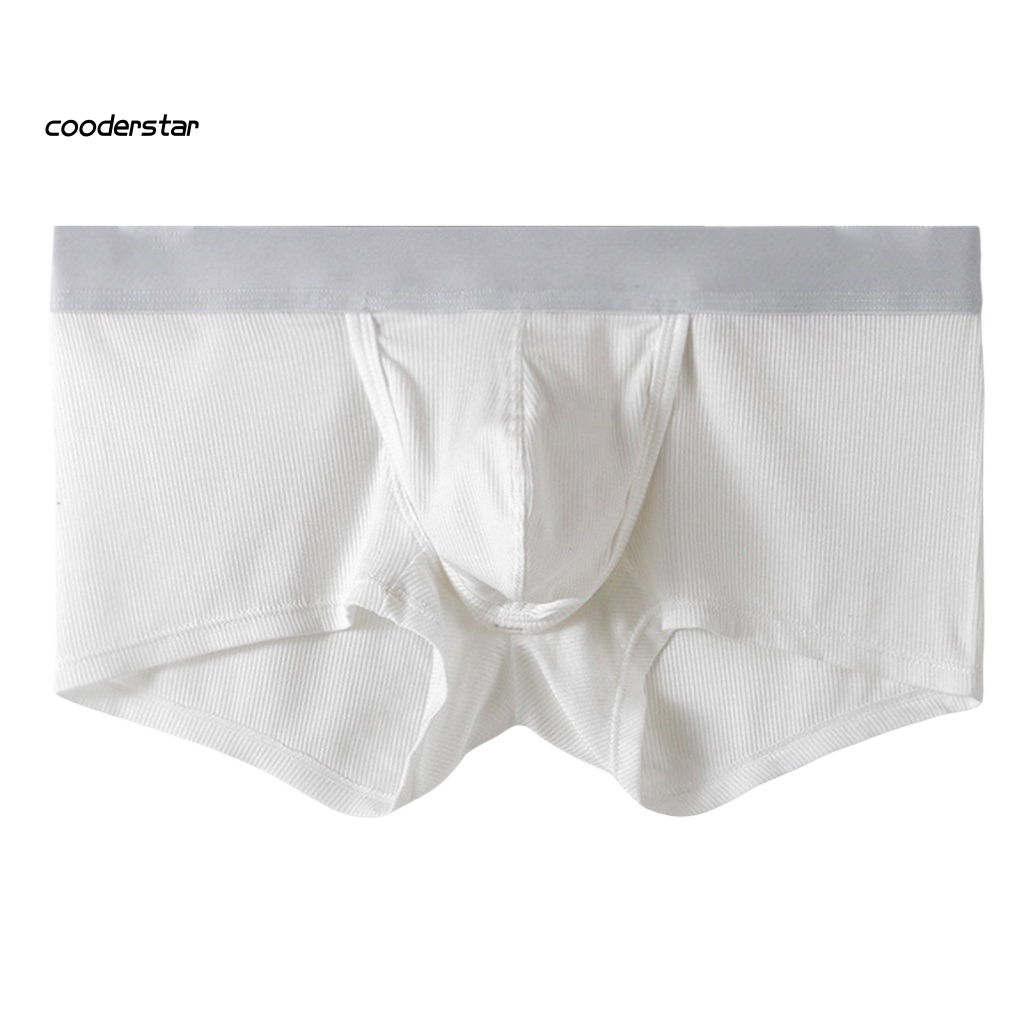 Quần Lót Boxer Co Giãn Màu Sắc Thời Trang Quyến Rũ Cho Nam