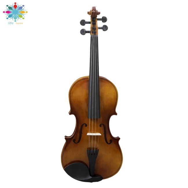 Đàn Violin Bằng Gỗ Trơn Kèm Hộp Đựng Dành Cho Người Mới Bắt Đầu