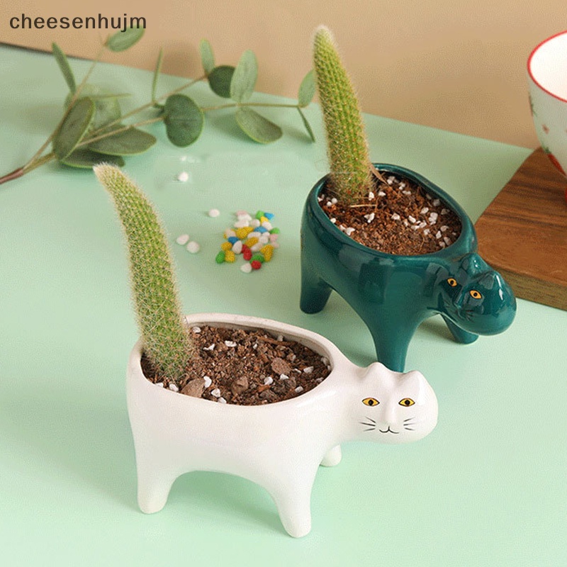 Chậu Gốm Trồng Cây Mọng Nước Hình Mèo / Xương Rồng Dễ Thương