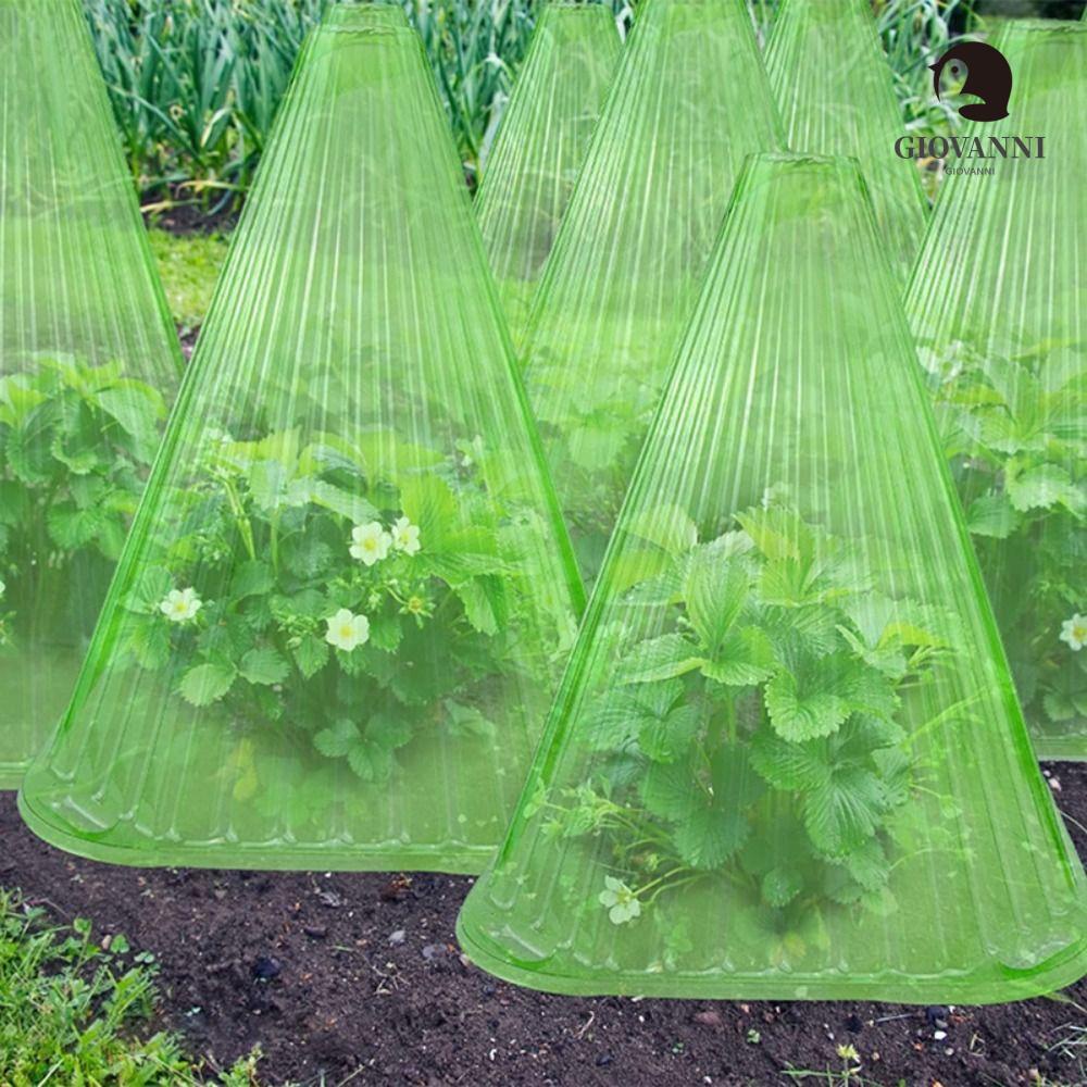 Vỏ Nhựa Bọc Bảo Vệ Cây Trồng Chống Côn Trùng