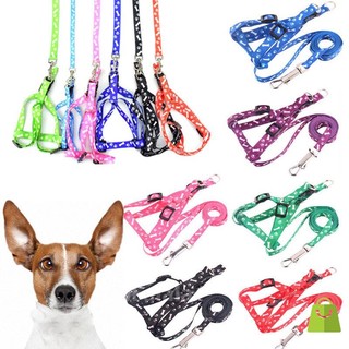 Set Dây xích ngực chó mèo thú cưng chống trầy cổ - Hàng hoa văn cao cấp Dây dắt yếm thú cưng chó mèo mỏng