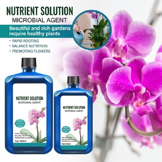 Orchids Plant Concentrated Nutrient Solution Fast Rooting Plant Growth Enhancer