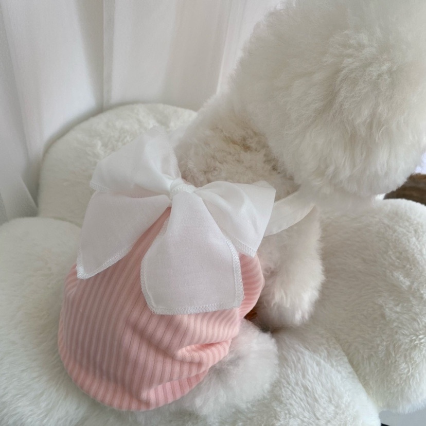 (MớI) Đầm SáT NáCh MùA Hè Cho Thú Cưng