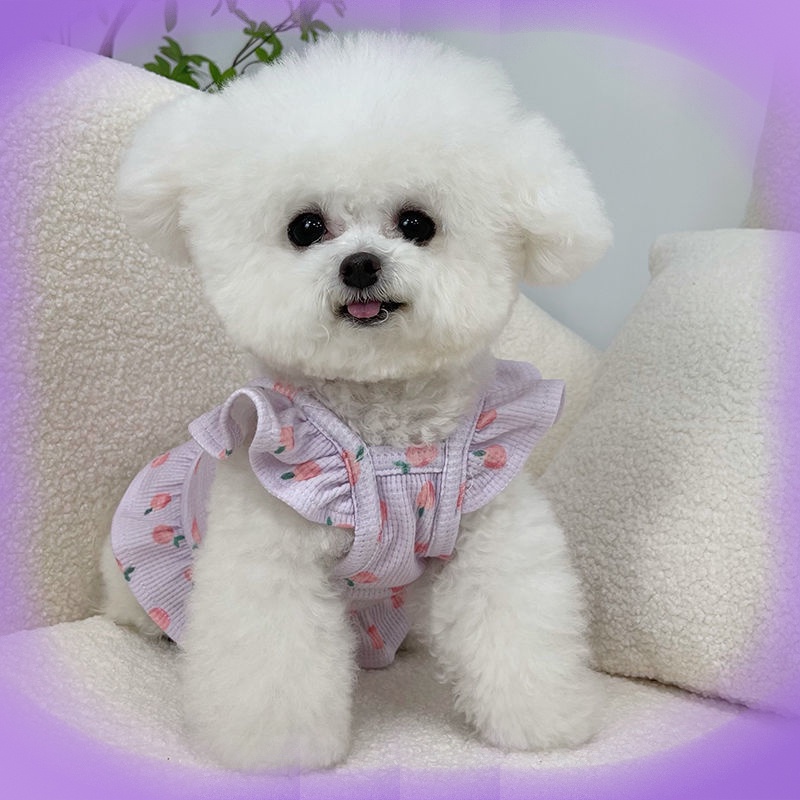 Đầm Tay Cánh Tiên Thời Trang Mùa Hè Xinh Xắn Cho Cún Cưng