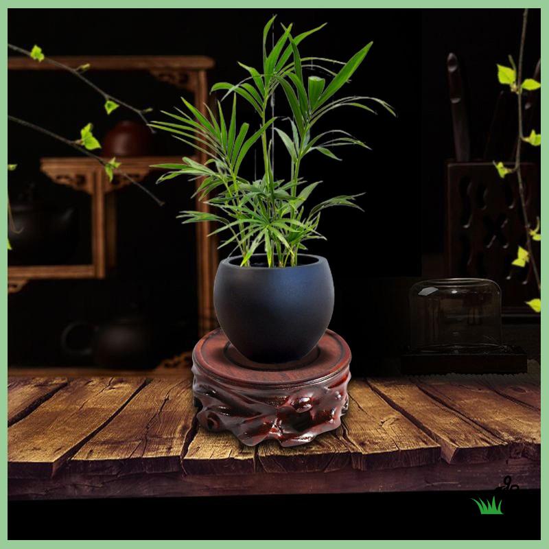 Giá Đỡ Trưng Bày Tượng Điêu Khắc Bằng Gỗ Hình Tròn Ổn Định Cho Phòng Ngủ