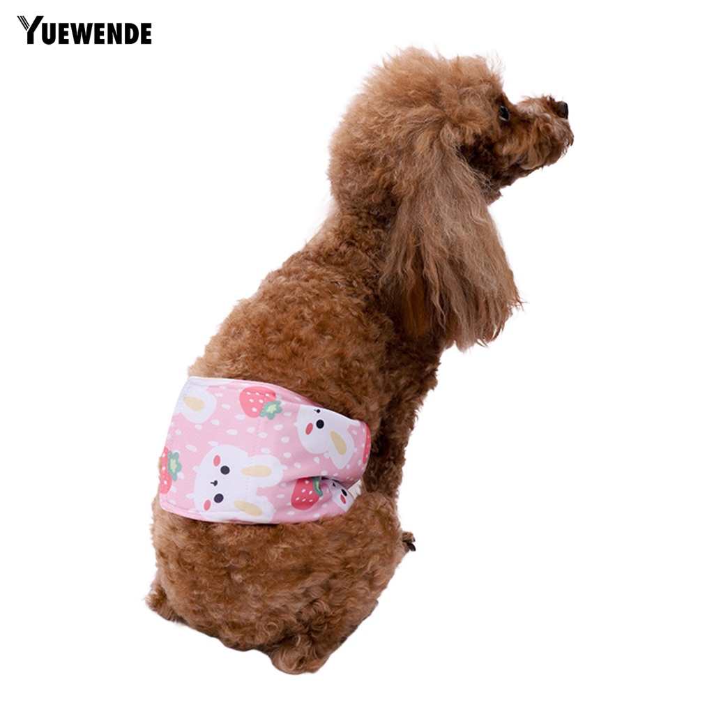 Tã Lót Vệ Sinh Thấm Hút Mạnh In Họa Tiết Thỏ Hoạt Hình Dễ Thương Có Thể Giặt Sạch Cho Cún Cưng