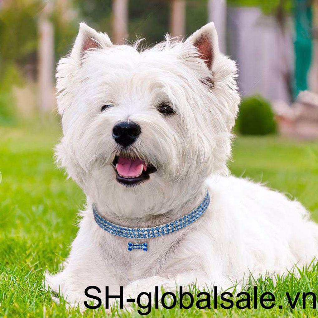 Vòng Cổ HìNh Xương Cho Thú Cưng