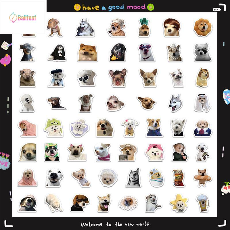 💜Set 60 Sticker Dán Laptop, Điện Thoại, Ván Trượt, Ván Trượt Hình Doge Mèo  Vui Nhộn
