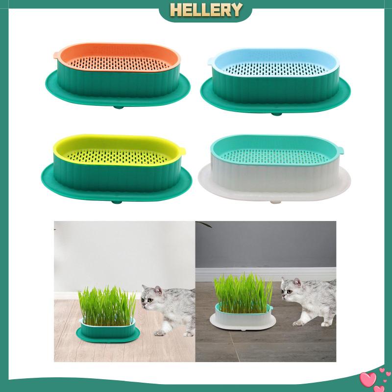 Khay Gieo Hạt Tiện Dụng Cho Nhà Kính