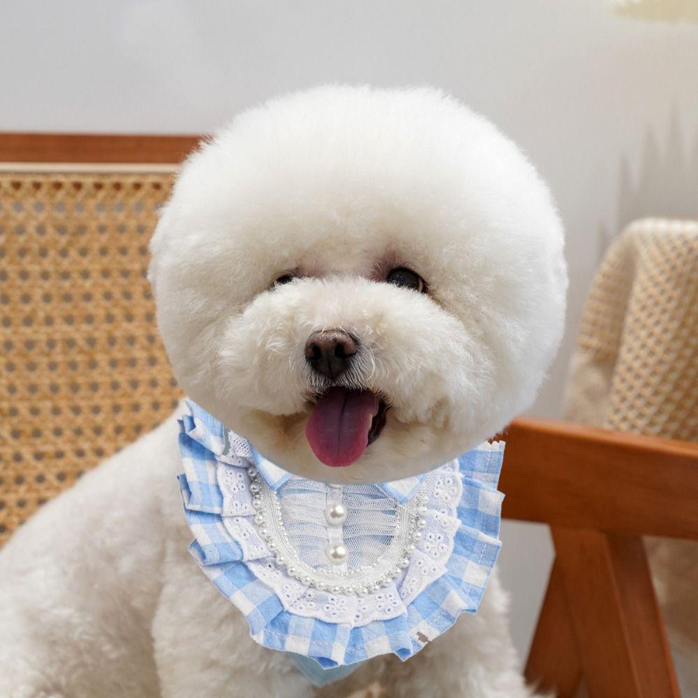 Danilo 1 Yếm Đeo Cổ Satin Đính Nơ Giả Cho Thú Cưng