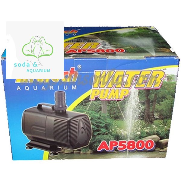 Máy Bơm Nước Lifetech AP5800 (360W - 12000L/H - 5M) - Máy Bơm Hồ Cá Cao Cấp