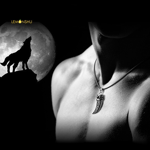 Vòng cổ Nanh SóI BằNg ThéP Titan ThờI Trang