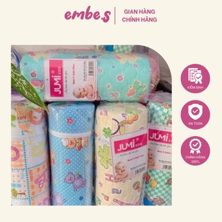 Bình ủ sữa đơn - đôi jumi cổ rộng nhiều màu sắc dung tích 300ml cho bé embe.s