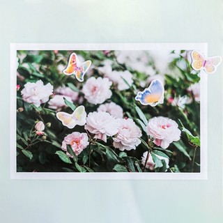 46 Sticker Dán Trang Trí Hình Con Bướm