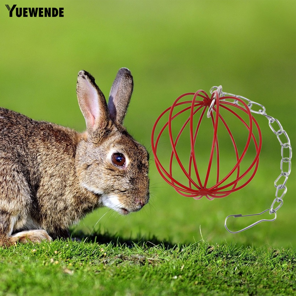 Yq.e Giá Treo Quả Bóng Cỏ Tròn Mini Đựng Thức Ăn Cho Thú Cưng