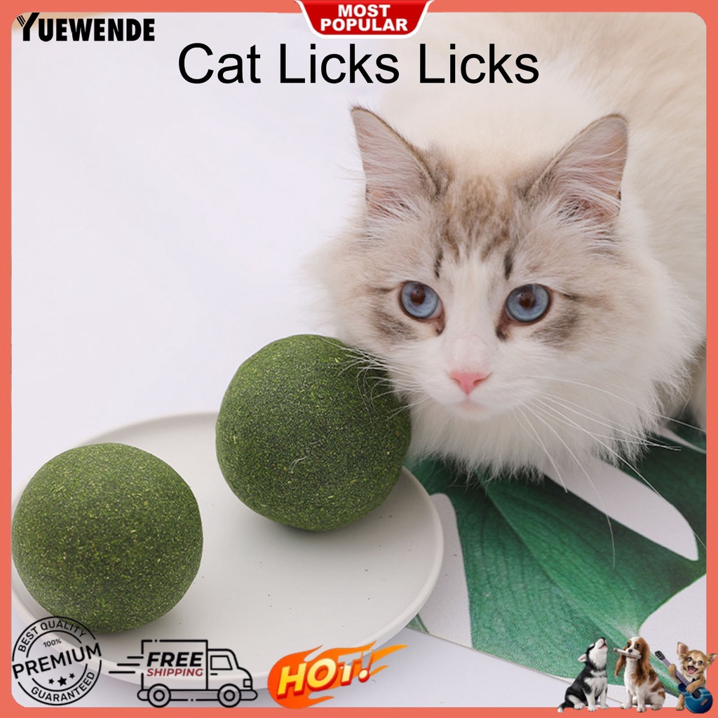 Quả Bóng Gặm Chống Cắn Tự Nhiên Quyến Rũ Cho Mèo Cưng YQ.E