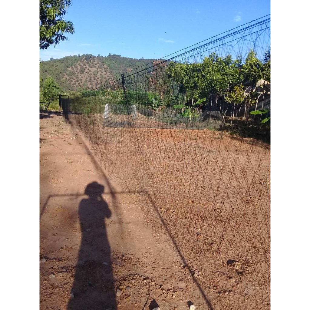 Lưới bẫy chim tàn hình dài 20m mắt 3p đánh ri,khuyên,sâu,hút mật,sẻ chào mào