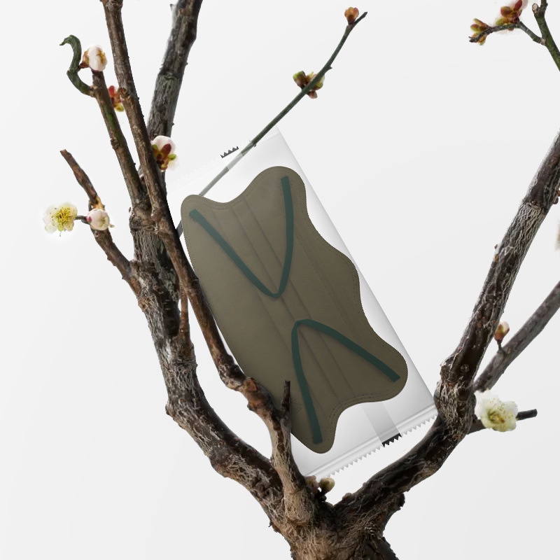 Khẩu Trang Người Lớn Morandi Color Khẩu Trang Dùng Một Lần Mặt Nạ Dạng Sóng Đóng Gói Riêng Mặt Nạ Bảo Vệ Ba Lớp Hình Bướm Và Mèo Đáng chú ý.vn