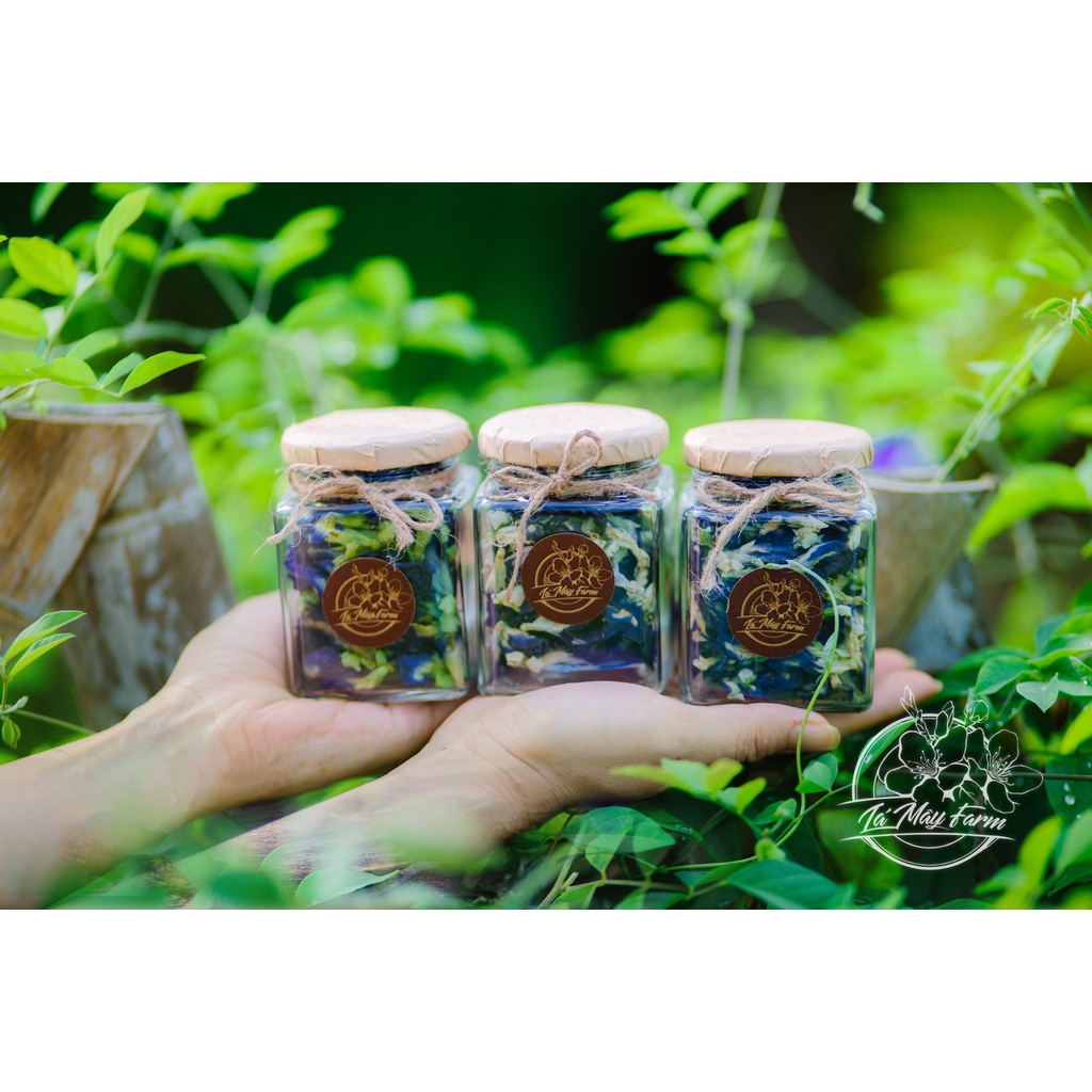 Trà hoa đậu biếc - Lá Mây Farm